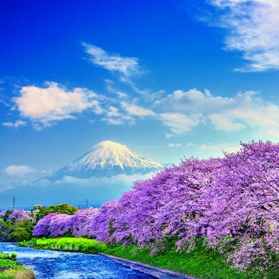 Calendar cu imagini Landscapes, 31.5 x 48 cm, 12 file, 2026